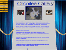 Tablet Screenshot of chonilee.com